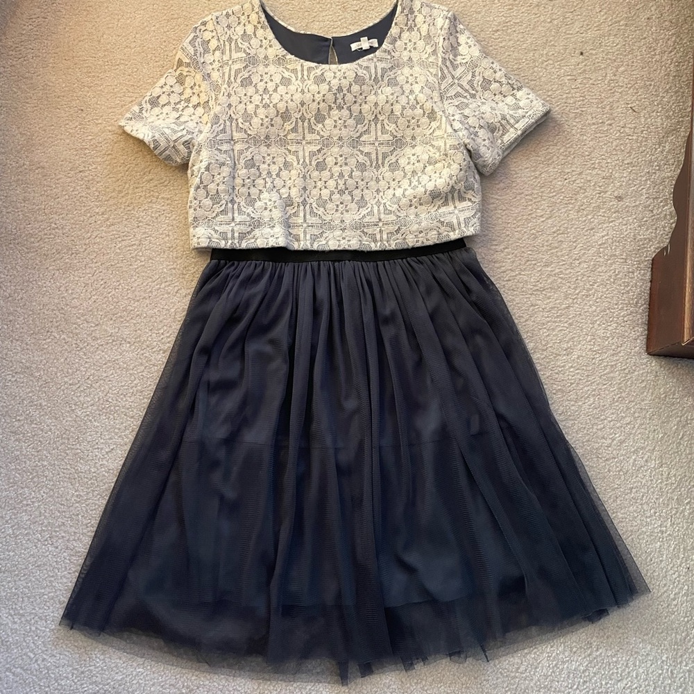 Anthropologie X Weston Charcoal Tulle Dress View 3